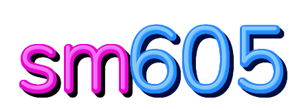 sm605 — logo kanal